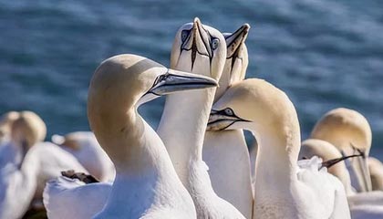 深圳一男子因病离世，生前立遗嘱打印签字录视频，留给母亲100万没分遗产给弟弟，母亲和弟弟不服遗产分配后起诉，法院：驳回全部诉讼请求