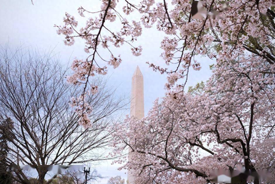 揭秘：为何华为MateXT三折叠手机炒至7万？