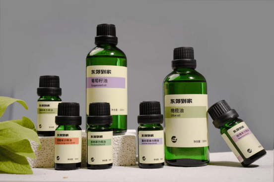 东郊到家:匠心传承与科技创新,重塑健康服务新格局