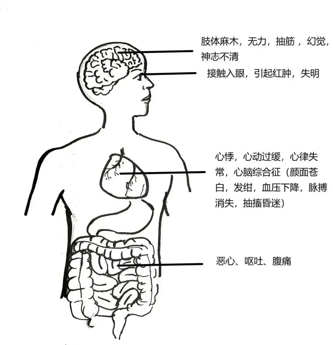 已致1人死亡！紧急提醒：有剧毒，别碰