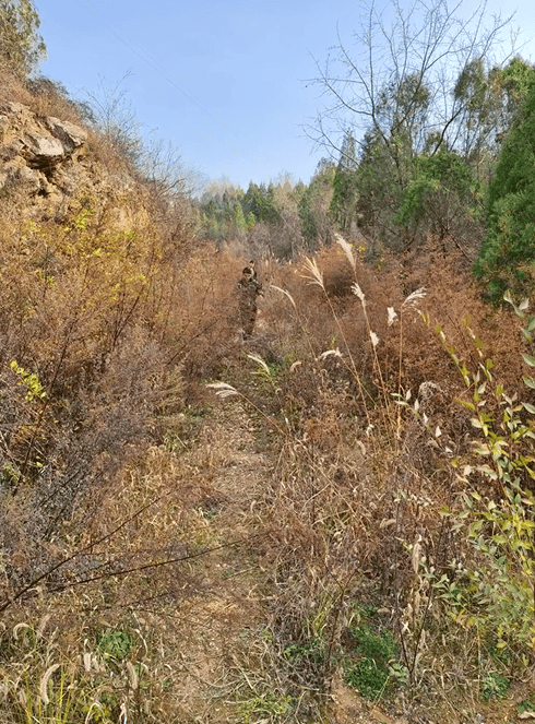 山西晋城20岁女子失联3天,找过荒山旧屋枯井,哥哥:她有抑郁症