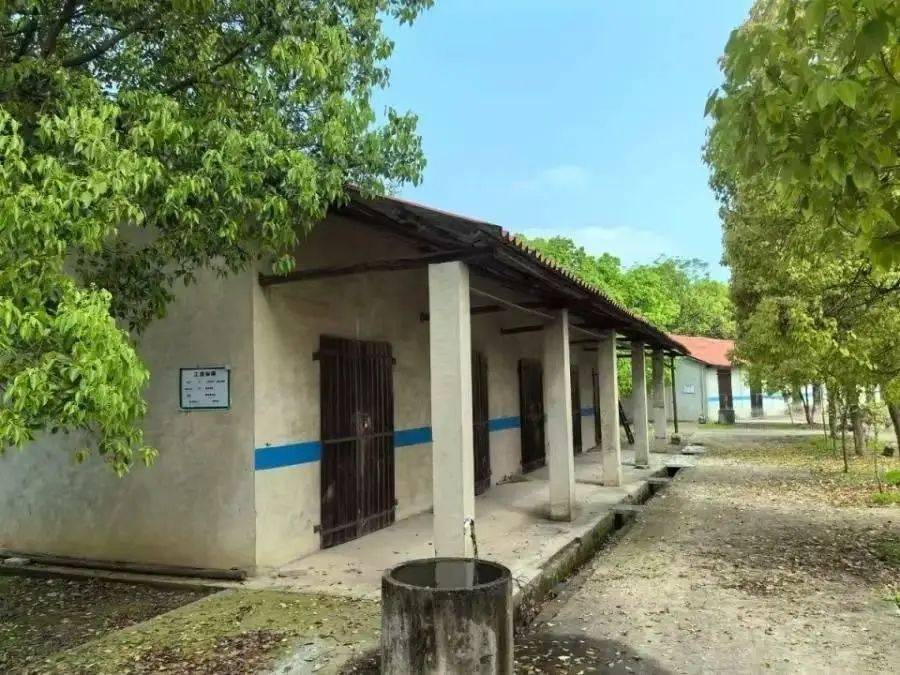 落槌可悔?男子花千万拍下花炮厂后被法院撤销,官方回应