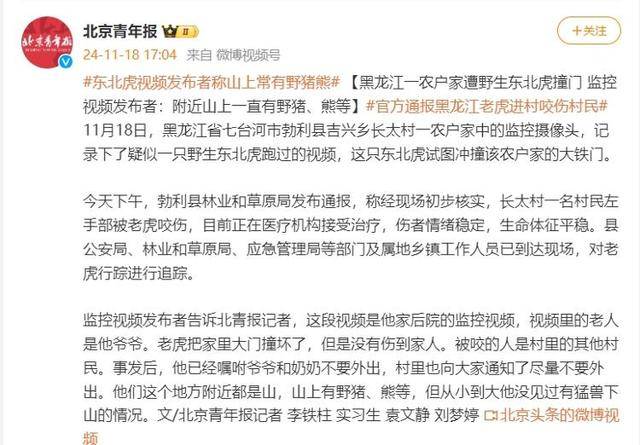 东北虎视频发布者:山上常有野猪、熊