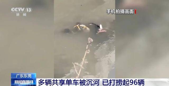 已捞起96辆！东莞共享单车被破坏沉河，捞一辆需要6个人，律师提醒