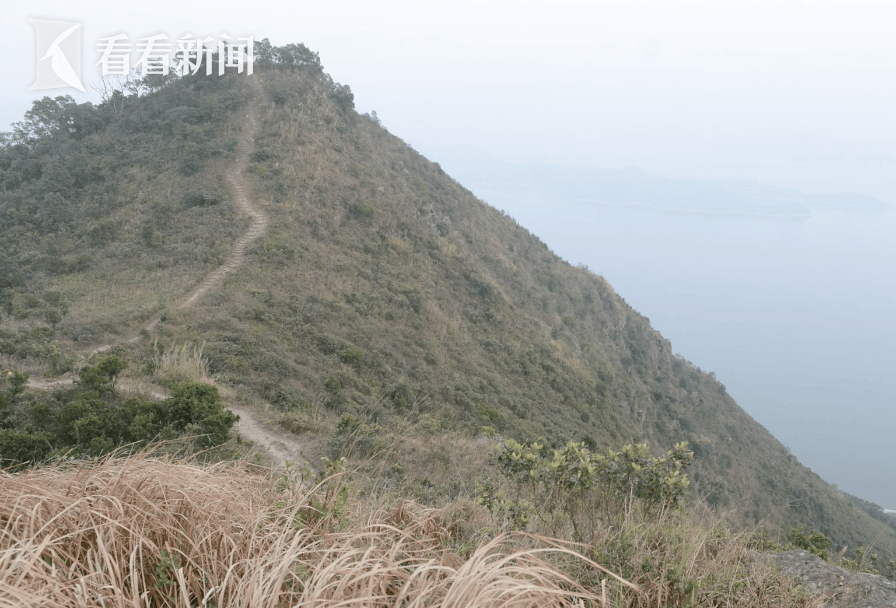男子和好友爬山后离奇死亡，被找到时身上竟有几十个针孔