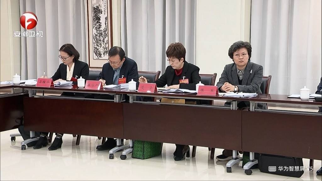 卸任黄山市委书记后,凌云参加了安徽省委十一届九次全会