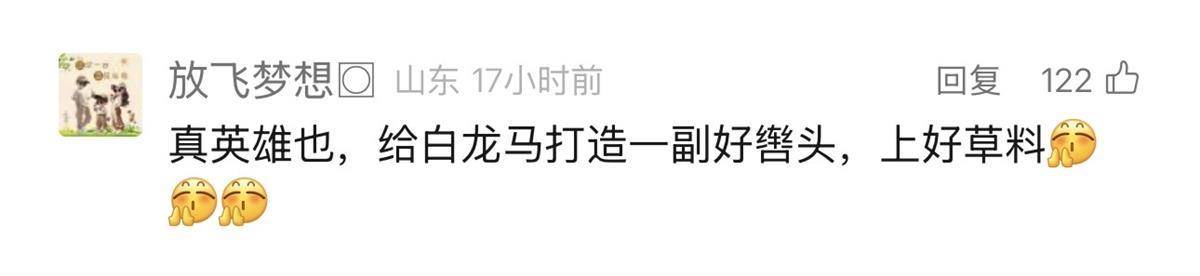 听劝！仙桃给“白龙马”开表彰大会，嘉奖其见义勇为