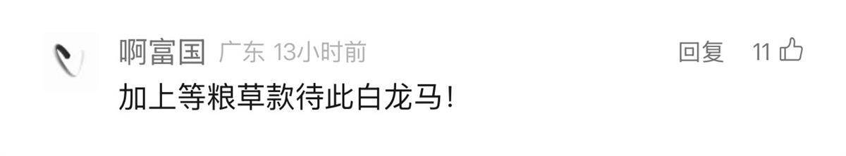 听劝！仙桃给“白龙马”开表彰大会，嘉奖其见义勇为