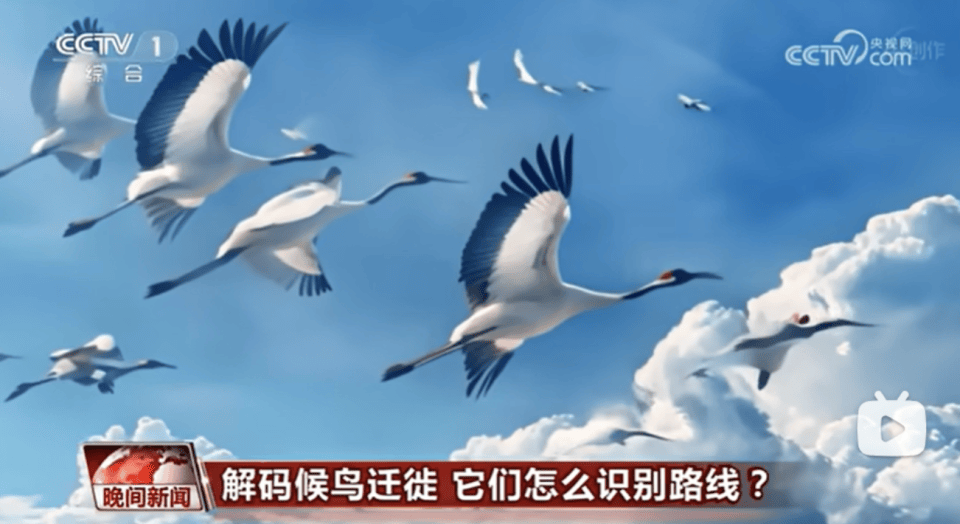《杭州新闻联播》AI主持人播报逼真0失误,“播音专业学生碎了”?有学生计划读研换专业,增加“技能傍身”