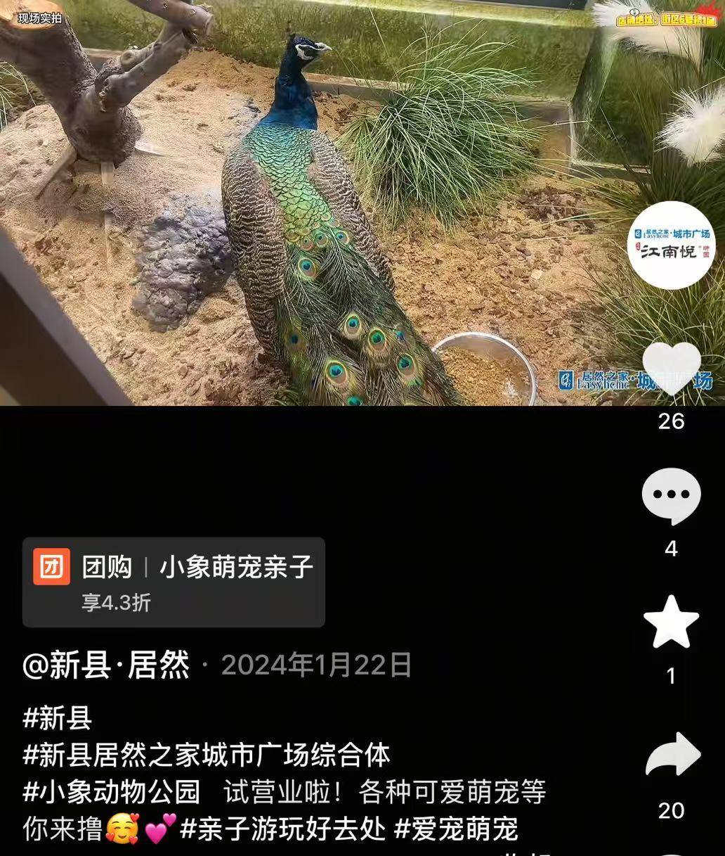 网友谴责河南新县一萌宠园过年期间无人看管,有宠物死亡 居委会:每天都有人投喂,现已清洁打扫