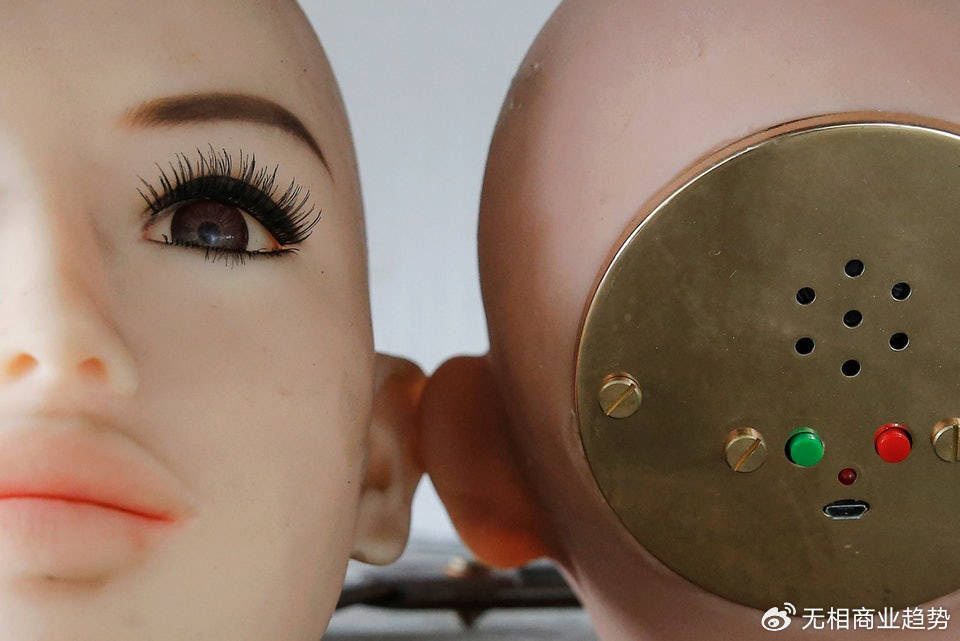 性机器人时代,来了