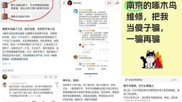 系统挤崩！啄木鸟维修遇退款潮 记者亲历：投诉3天没回应