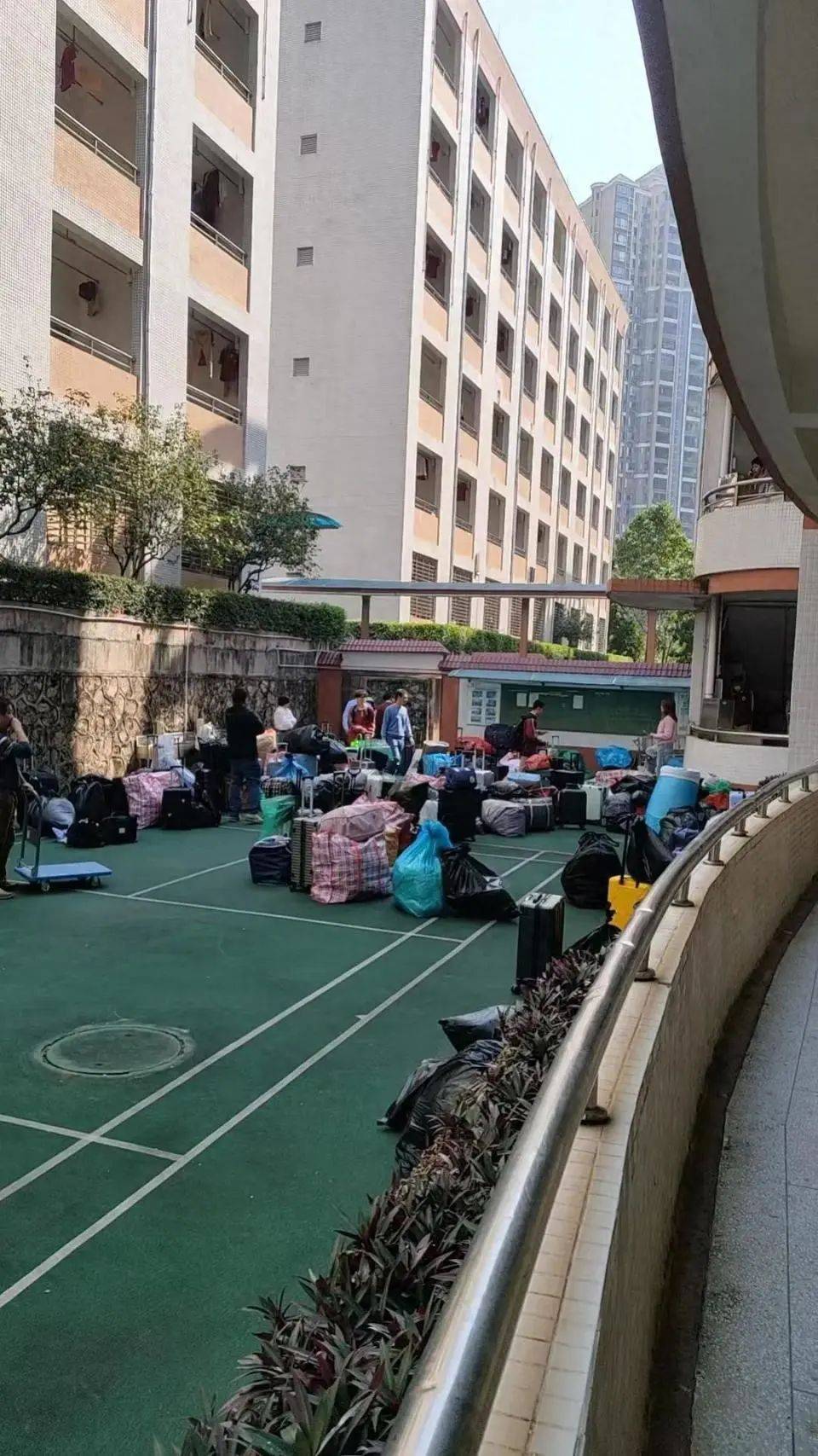 “什么年代还有这么多跳蚤？”东莞6千人学校跳蚤肆虐，全校放假消杀