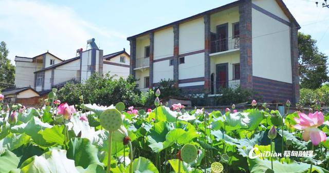 武汉夫妇郑州寻找失联23年侄女，当面交还2套房