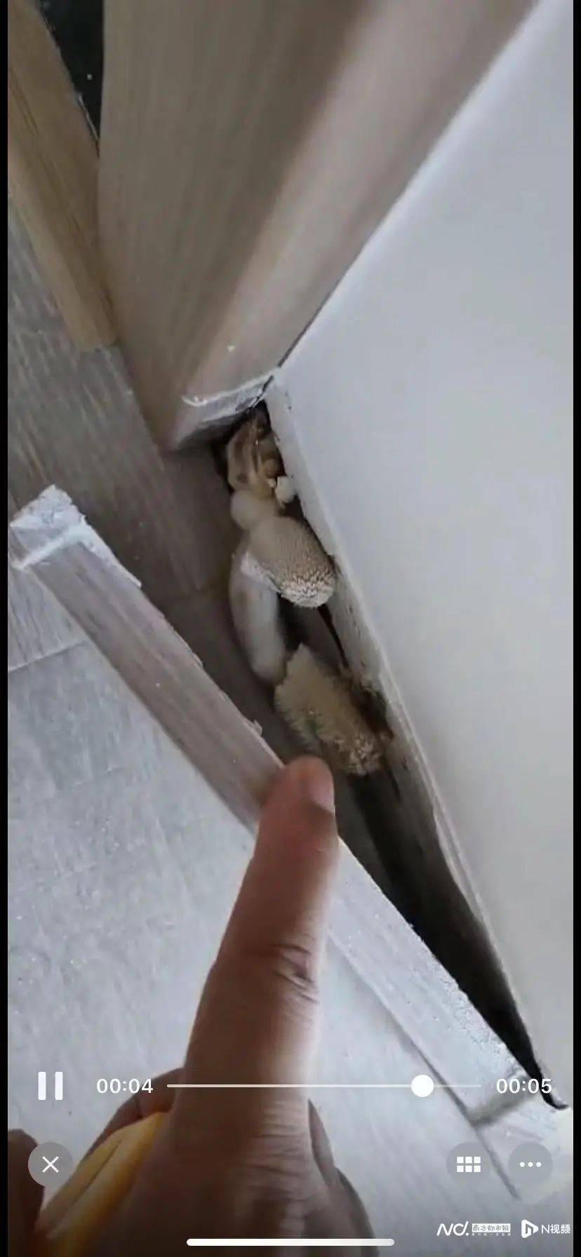 “深更半夜，又掉一大块下来”！广东一小区业主怒了