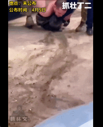 泽连斯基:乌军死亡10万,850万人外逃!乌克兰还能挤出多少兵?