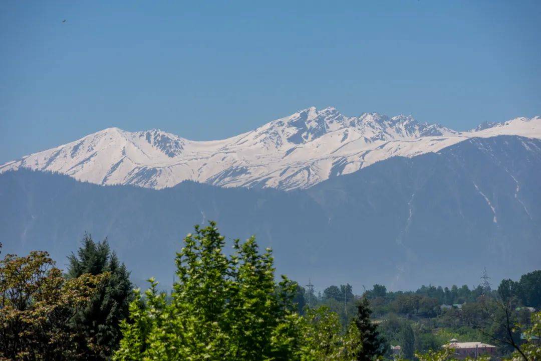 突发!巴基斯坦:击落印军无人机!印控克什米尔地区48处景点被关闭,巴防长:不会爆发核战!中方表态