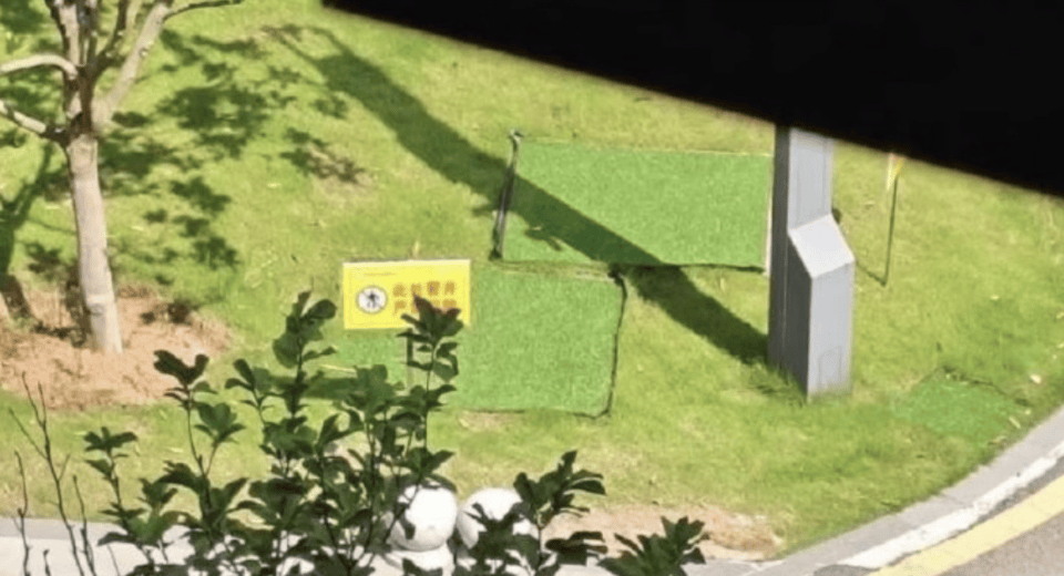 热闻|高校通报学生掉化粪池遇难！同学爆料：化粪池仅用板子盖住，再铺一层草皮美化