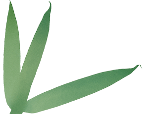 马上放假啦！逛商圈、逛景区……外出游玩，别忘了这件事