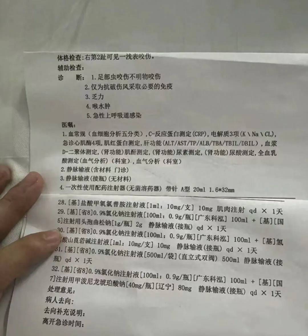 女子疑被蛇咬身亡事件进展：家属正在酒店收拾逝者遗物，称暂无处置结果