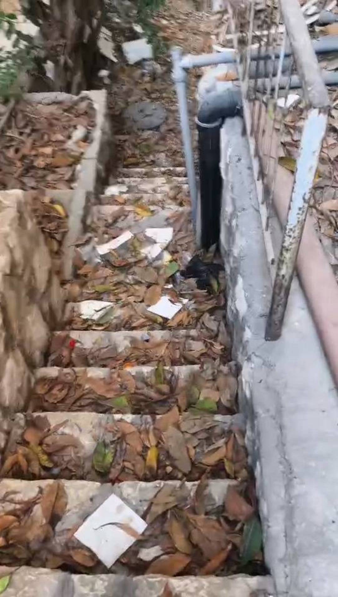 对话留守以色列的中国人:因薪资丰厚未撤离,每天向家人报平安