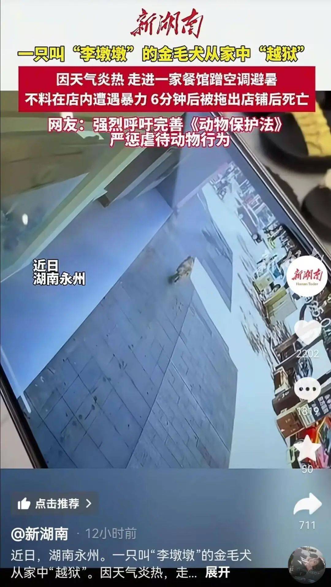 金毛犬“李墩墩”在餐馆遭到殴打后死亡？当地警方已介入