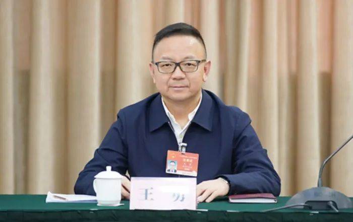 “背离党中央对年轻干部的要求”，54岁“副部虎”王勇被判死缓，16年受贿2.71亿余元