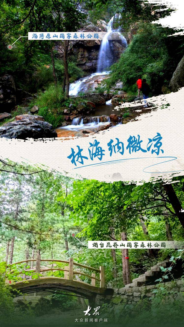 大暑至!山东8大避暑宝地为你“凉”身定做神仙夏日