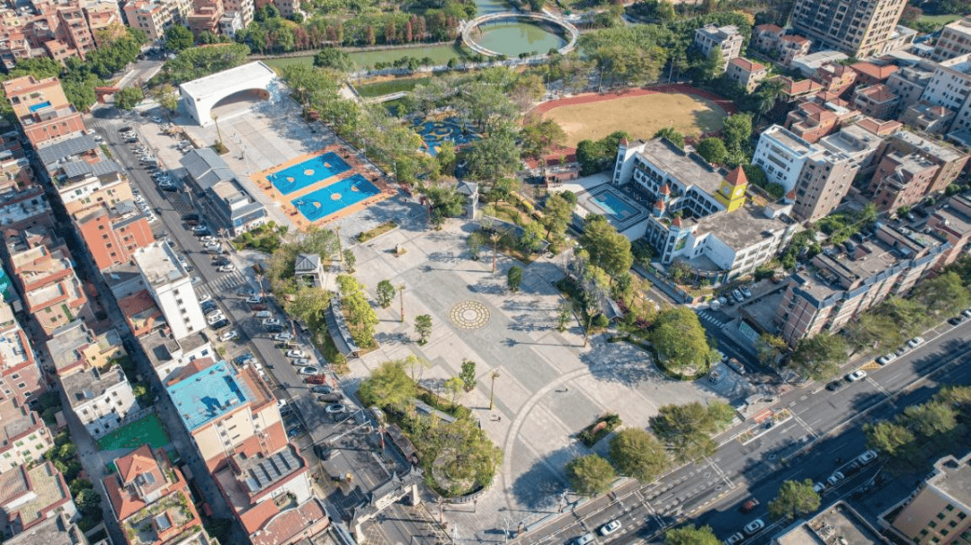 今年东莞“唯一”！麻涌这条村入选2025年全国“书香社区”