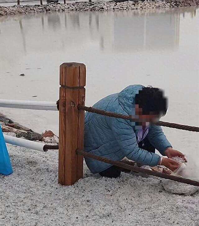 游客将茶卡盐湖铺路盐成袋装走 工作人员：原则上是不允许拿，可凭票免费领