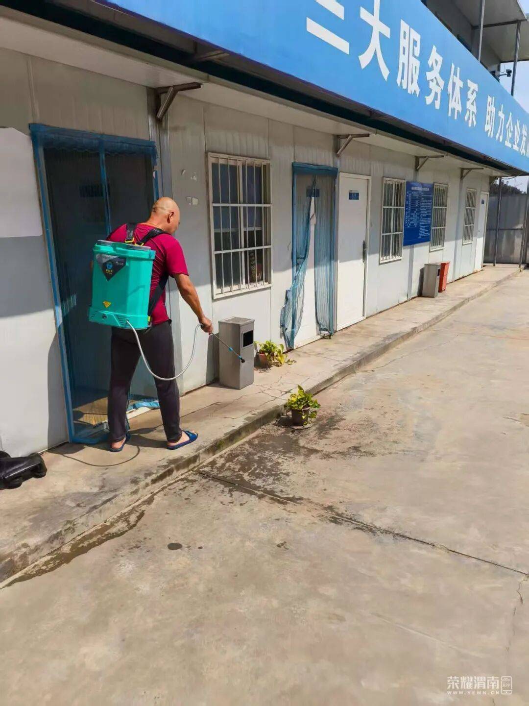 西安多区发现隐翅虫？千万别拍！毒液堪比硫酸