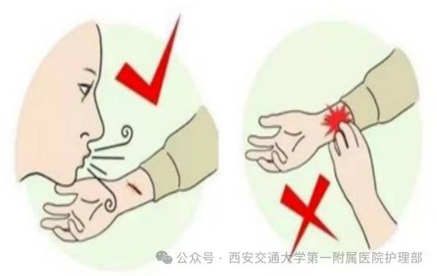 西安多区发现隐翅虫？千万别拍！毒液堪比硫酸