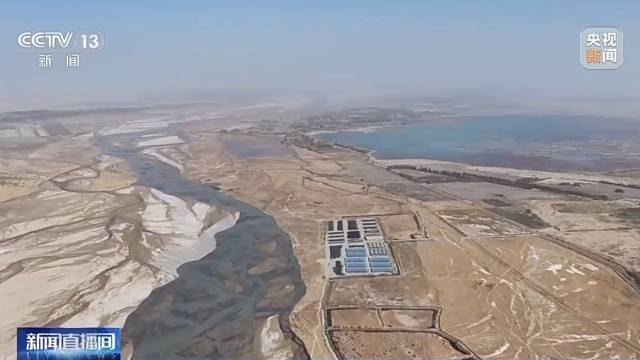 沙漠边缘养螃蟹 新疆如何做到“海鲜”大丰收?