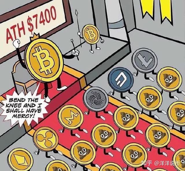 我只买莱特币(网友带我买莱特币涨跌)