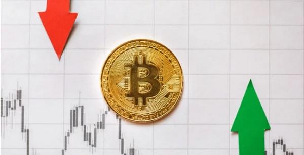 派币和莱特币(派币和莱特币哪个值钱) 派币和莱特币(派币和莱特币哪个值钱)