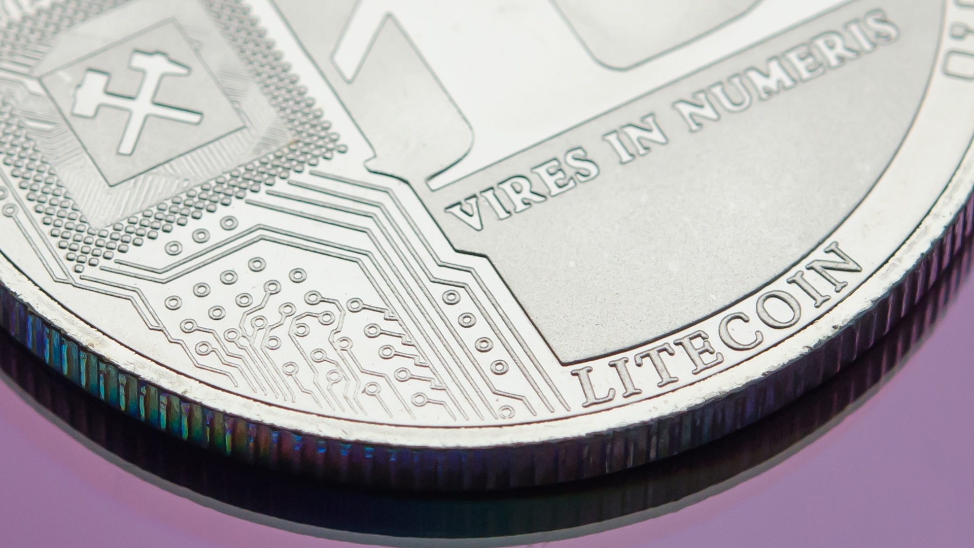 莱特币文件(莱特币钱包地址获取教程)