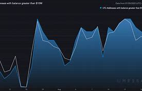 莱特币前景(莱特币挣钱吗) 莱特币前景(莱特币挣钱吗)